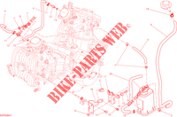 EVAPORATIVE EMISSION SYSTEM (EVAP) für Ducati Hypermotard 2015