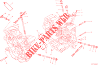 MOTORGEHÄUSE für Ducati Hypermotard 2015