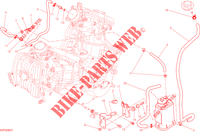 EVAPORATIVE EMISSION SYSTEM (EVAP) für Ducati Hyperstrada 2015