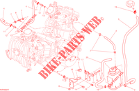 EVAPORATIVE EMISSION SYSTEM (EVAP) für Ducati Hypermotard SP 2015