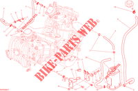 EVAPORATIVE EMISSION SYSTEM (EVAP) für Ducati Hypermotard 2014