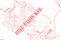 EVAPORATIVE EMISSION SYSTEM (EVAP) für Ducati Hyperstrada 2014