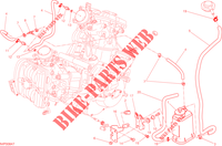 EVAPORATIVE EMISSION SYSTEM (EVAP) für Ducati Hypermotard SP 2014