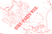 EVAPORATIVE EMISSION SYSTEM (EVAP) für Ducati Hypermotard SP 2013
