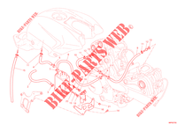 EVAPORATIVE EMISSION SYSTEM (EVAP) für Ducati Streetfighter 848 2014