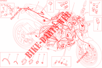 KABELBAUM ELEKTRIC für Ducati Monster 821 DARK 2015