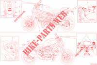 WARNSCHILD für Ducati Monster 1200 25° Anniversario 2019