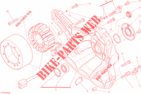 DECKEL / LICHTMASCHINE für Ducati Monster 659 LEARNER LEGAL (LAMs) 2020