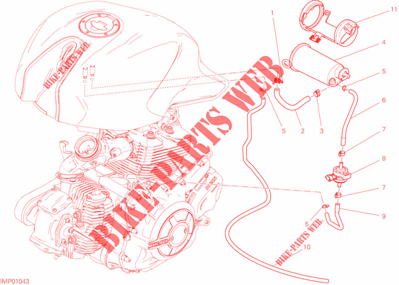 EVAPORATIVE EMISSION SYSTEM (EVAP) für Ducati Monster 659 LEARNER LEGAL (LAMs) 2020
