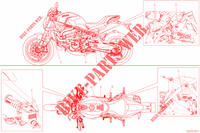 WARNSCHILD für Ducati Monster 821 Stealth 2020