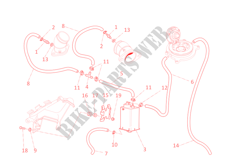 EVAPORATIVE EMISSION SYSTEM (EVAP) für Ducati Monster 795 2012