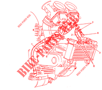 VERGASERHEIZUNG (DM 024037) für Ducati 900 SS 1992