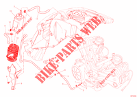 EVAPORATIVE EMISSION SYSTEM (EVAP) für Ducati Diavel 1200 White Stripe 2013