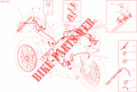 KABELBAUM ELEKTRIC für Ducati Panigale V4 1100 25° Anniversario 916 2020
