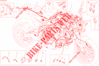 KABELBAUM ELEKTRIC für Ducati Monster 821 2015