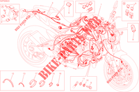 KABELBAUM ELEKTRIC für Ducati Monster 821 Stripes 2015