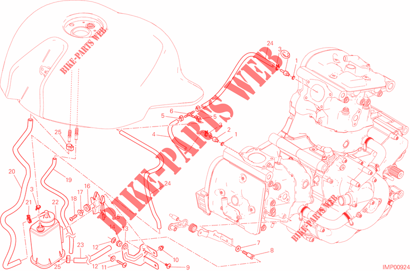 EVAPORATIVE EMISSION SYSTEM (EVAP) für Ducati Monster 821 Stripes 2016