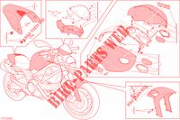 ART KIT für Ducati Monster 696 ABS 2013