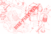 EINLASS für Ducati Monster 659 ABS Learner Legal (LAMs) 2014