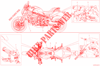WARNSCHILD für Ducati Monster 821 Stealth 2021