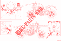 WARNSCHILD für Ducati Monster + 2021
