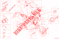 KABELBAUM ELEKTRIC für Ducati Hypermotard 950 2021