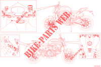 WARNSCHILD für Ducati Monster 2022
