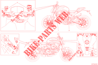 WARNSCHILD für Ducati Monster + 2022
