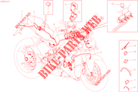 KABELBAUM ELEKTRIC für Ducati Streetfighter V4 S 2022
