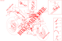 KABELBAUM ELEKTRIC für Ducati Streetfighter V4 S 2022