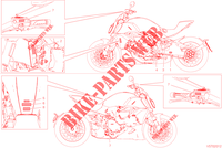 WARNSCHILD für Ducati Diavel 1260 2022