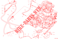EVAPORATIVE EMISSION SYSTEM (EVAP) für Ducati Multistrada V2 2023