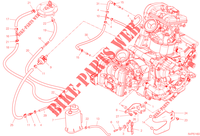 EVAPORATIVE EMISSION SYSTEM (EVAP) für Ducati Multistrada V2 S 2023