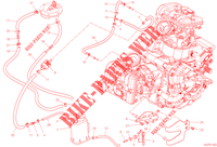 EVAPORATIVE EMISSION SYSTEM (EVAP) für Ducati Multistrada V2 S Travel 2023
