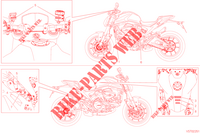 WARNSCHILD für Ducati Monster 2023