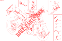 KABELBAUM ELEKTRIC für Ducati Streetfighter V4 2023
